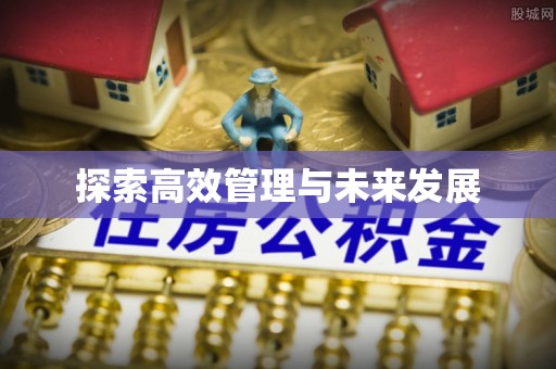 龙胜探索高效管理与未来发展
