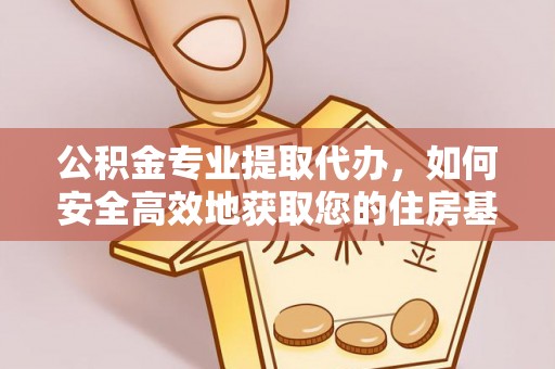 龙胜公积金专业提取代办，如何安全高效地获取您的住房基金