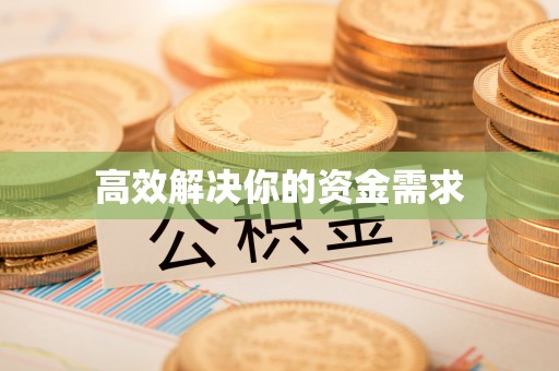 龙胜高效解决你的资金需求