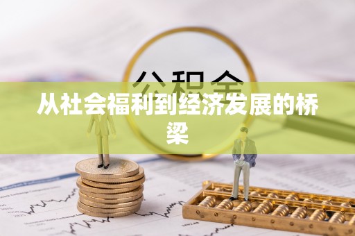 龙胜从社会福利到经济发展的桥梁