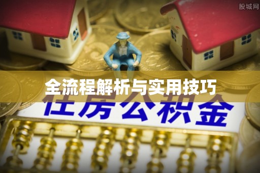 龙胜全流程解析与实用技巧