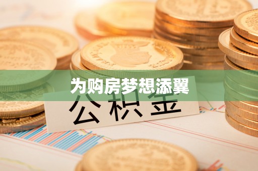 龙胜为购房梦想添翼