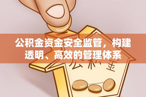 龙胜公积金资金安全监管，构建透明、高效的管理体系