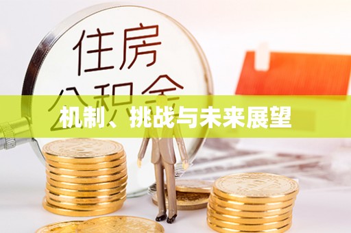龙胜机制、挑战与未来展望